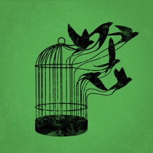 tumblr_ml3qbmyjIC1ql2o9ro1_500