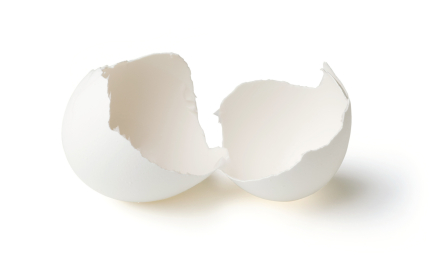 iStock_000003656044XSmall_egg-shells.jpg